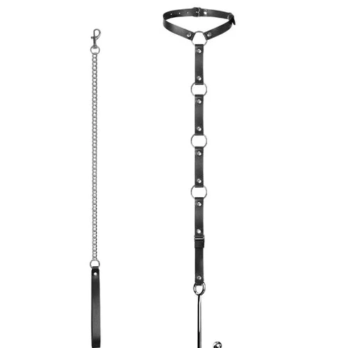 with Leash Hook and Anal EverydayUse 5853 Collar Kinky 0627